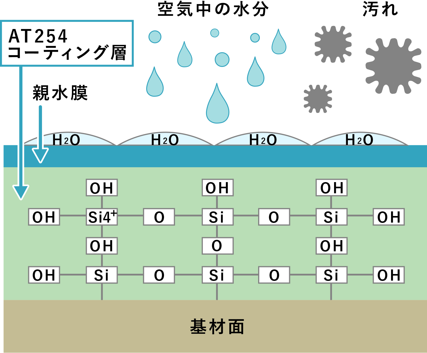 オールチタンコーティング